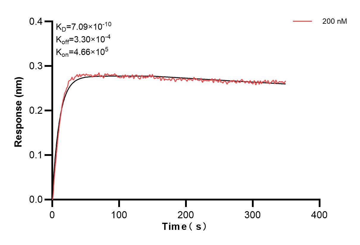 Affinity and Kinetic Characterization of 84136-1-PBS