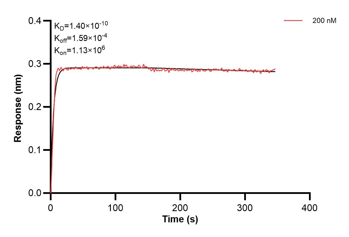 IL-1 beta antibody (84136-2-PBS) | Proteintech