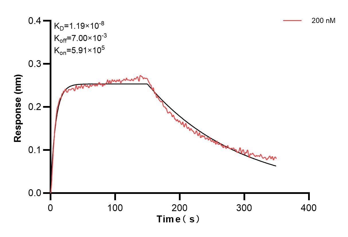 Affinity and Kinetic Characterization of 84136-3-PBS