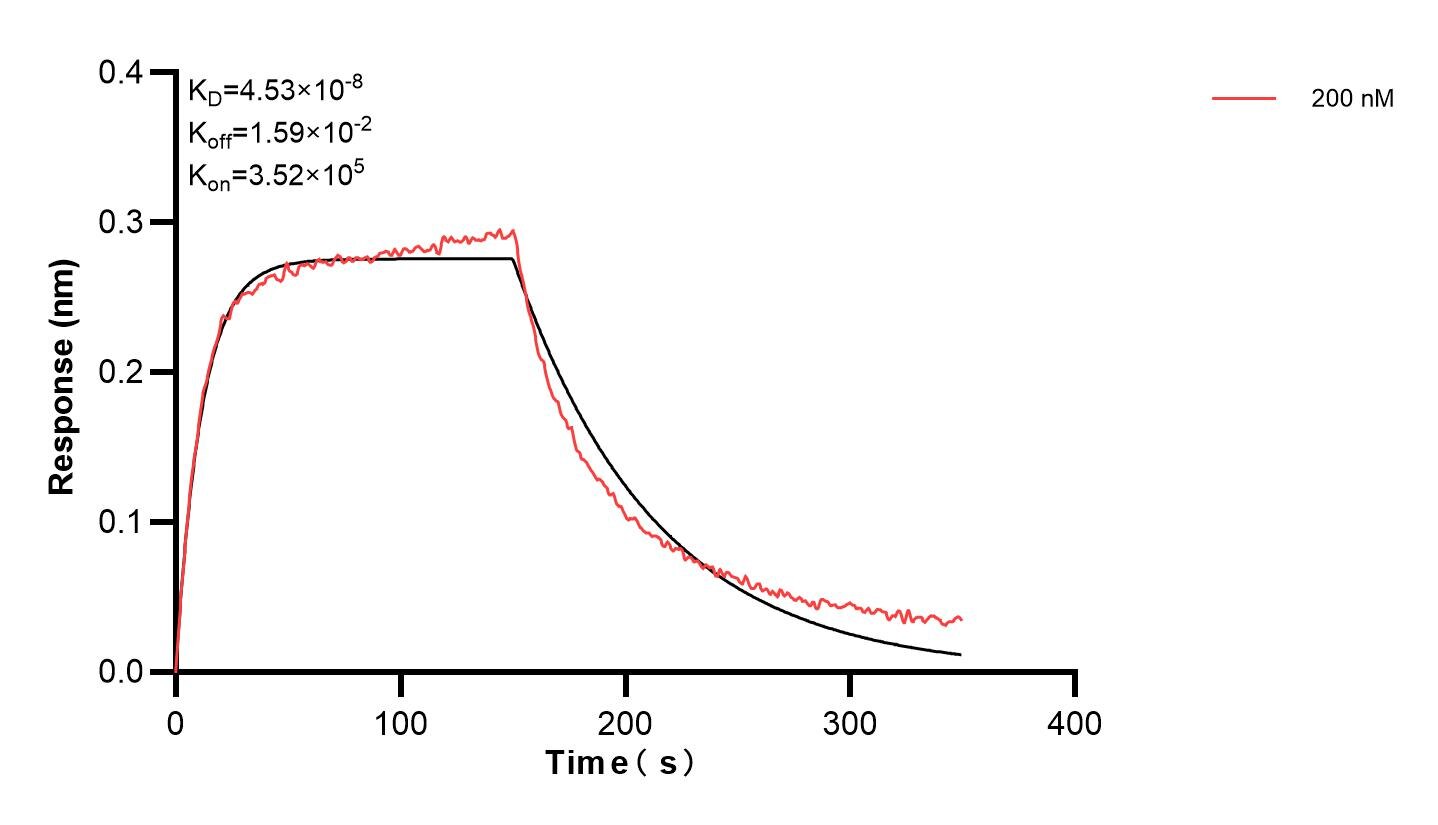 Affinity and Kinetic Characterization of 84136-4-PBS