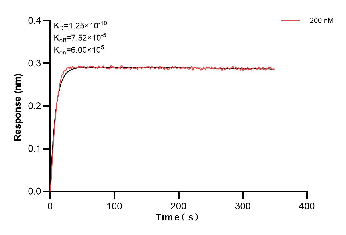 Affinity and Kinetic Characterization of 84136-6-PBS