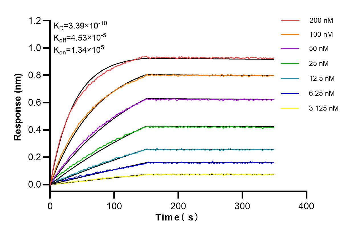 Affinity and Kinetic Characterization of 84139-4-RR
