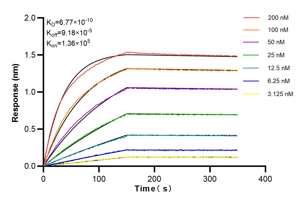 Affinity and Kinetic Characterization of 84139-5-RR