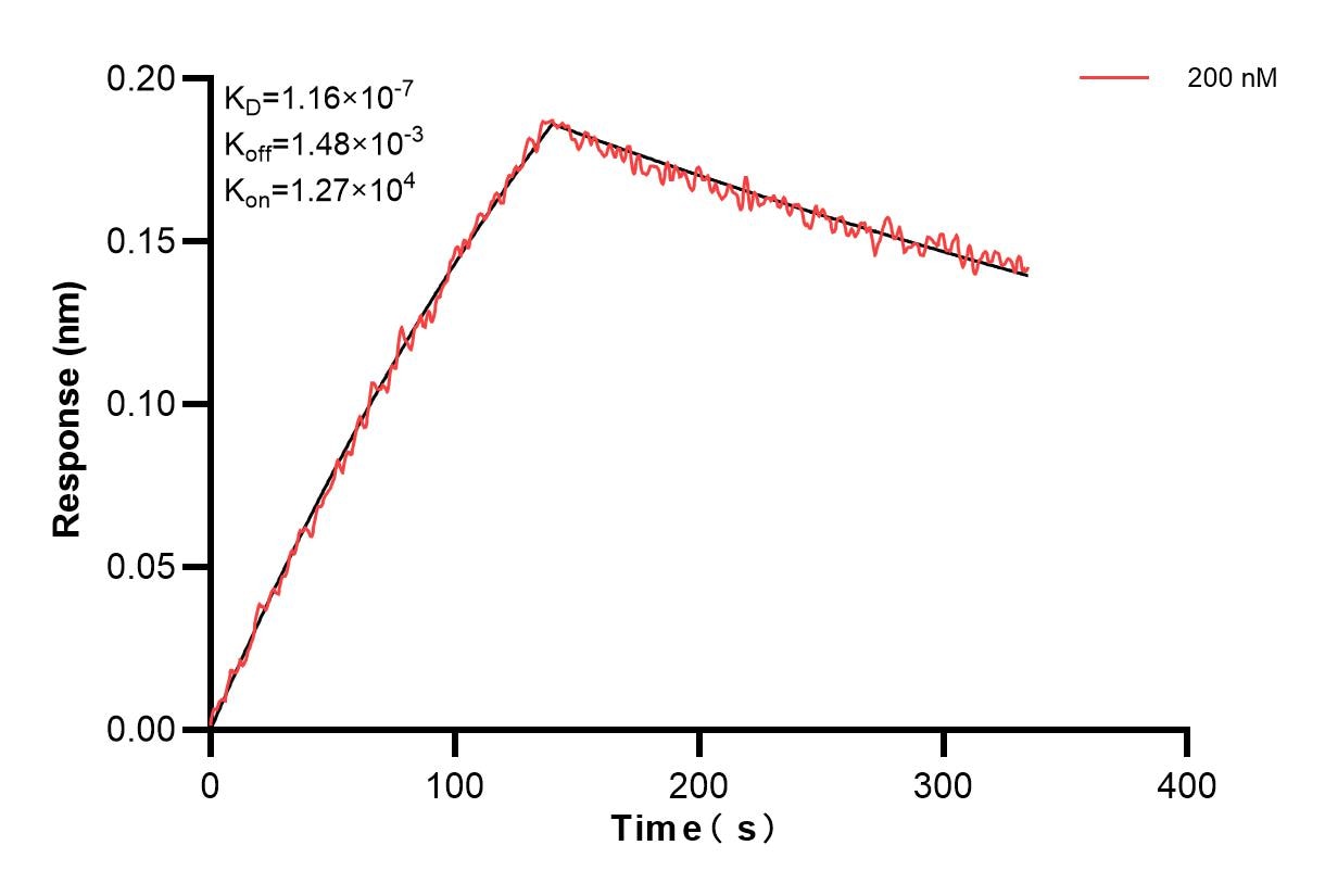 Affinity and Kinetic Characterization of 84140-1-PBS