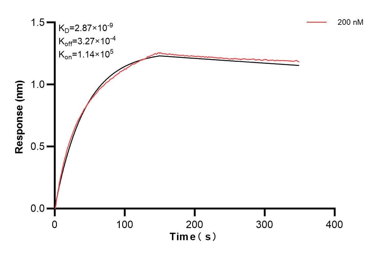 Affinity and Kinetic Characterization of 84154-3-PBS