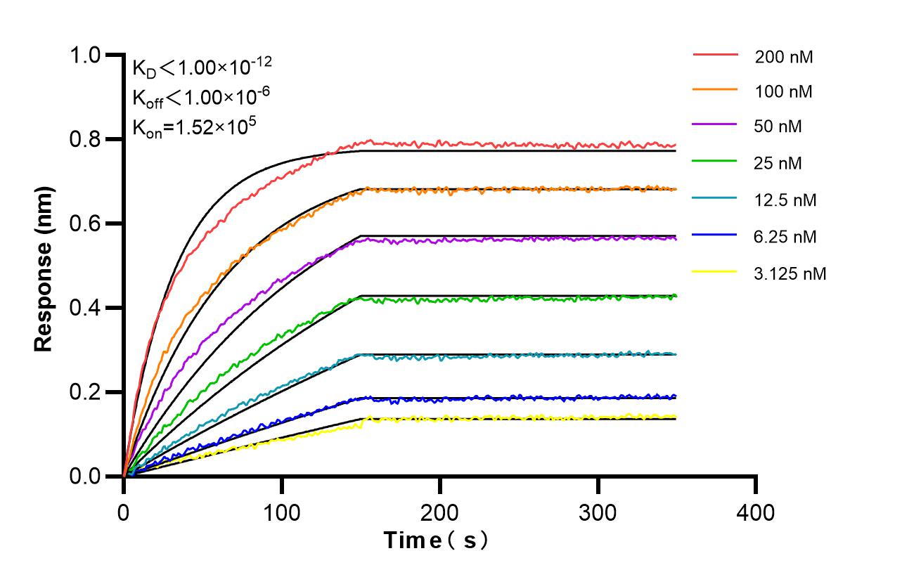 Affinity and Kinetic Characterization of 84156-3-RR Affinity and Kinetic Characterization of 84156-3-RR