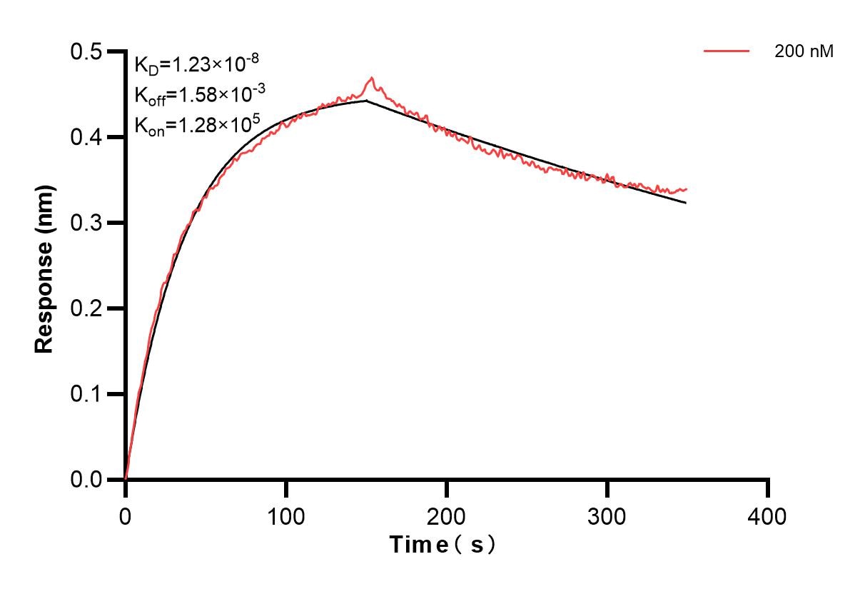 Affinity and Kinetic Characterization of 84165-3-PBS