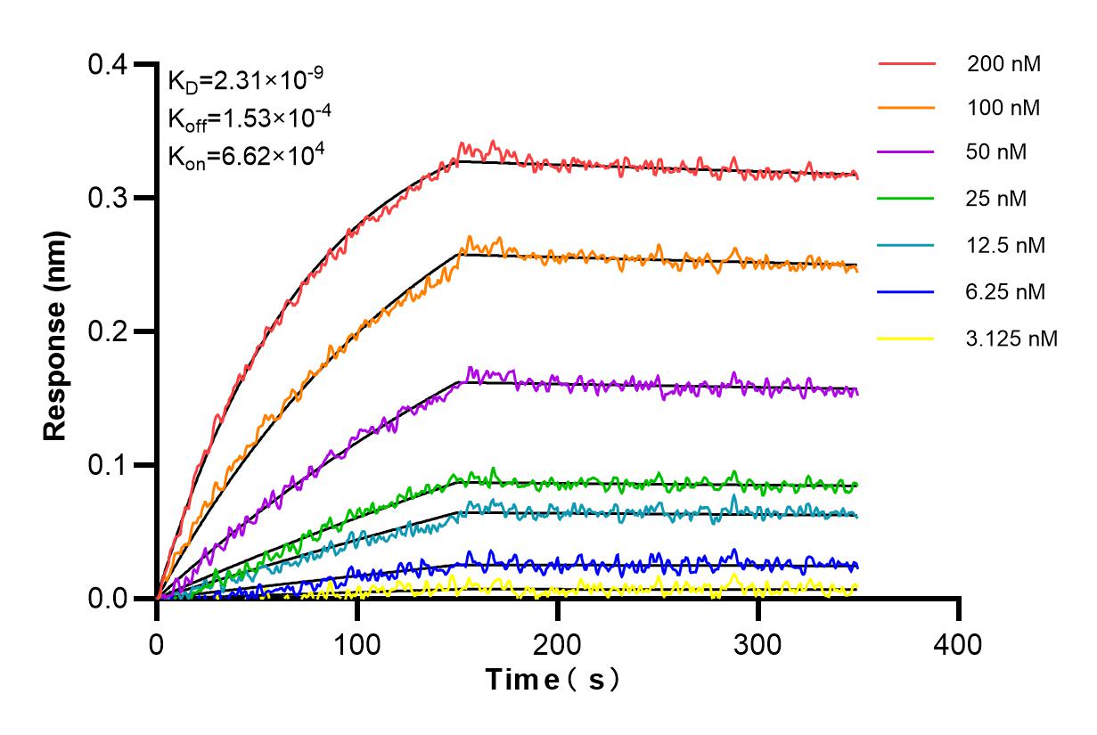 Affinity and Kinetic Characterization of 84186-2-PBS