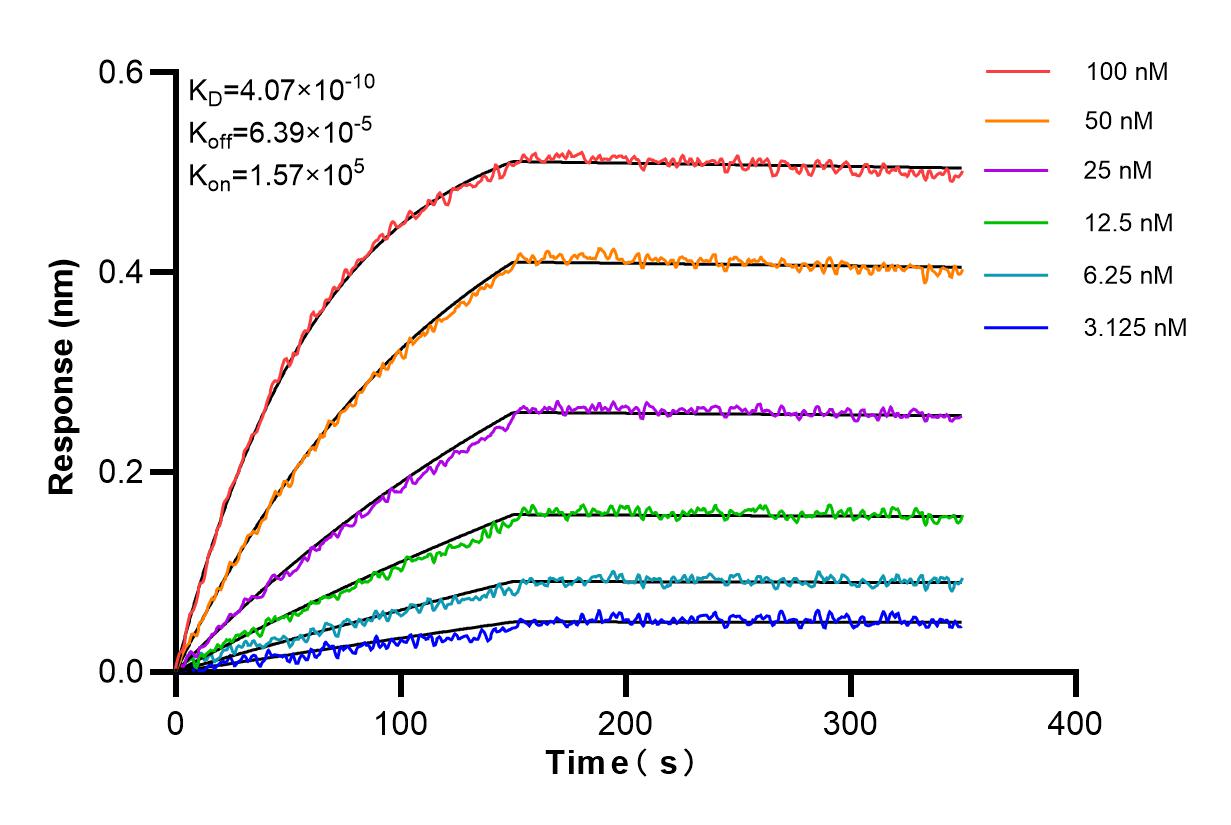 Affinity and Kinetic Characterization of 84186-3-PBS