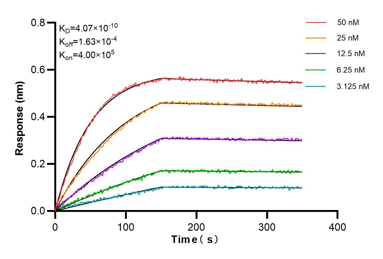 Affinity and Kinetic Characterization of 84186-4-PBS