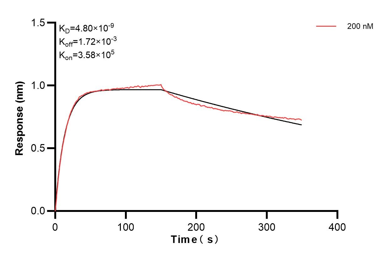 Biolayer interferometry (BLl) kinetic assay of 84187-1-PBS against Human DCHS1 was performed. The affinity constant is 4.80 nM. Affinity and Kinetic Characterization of 84187-1-PBS