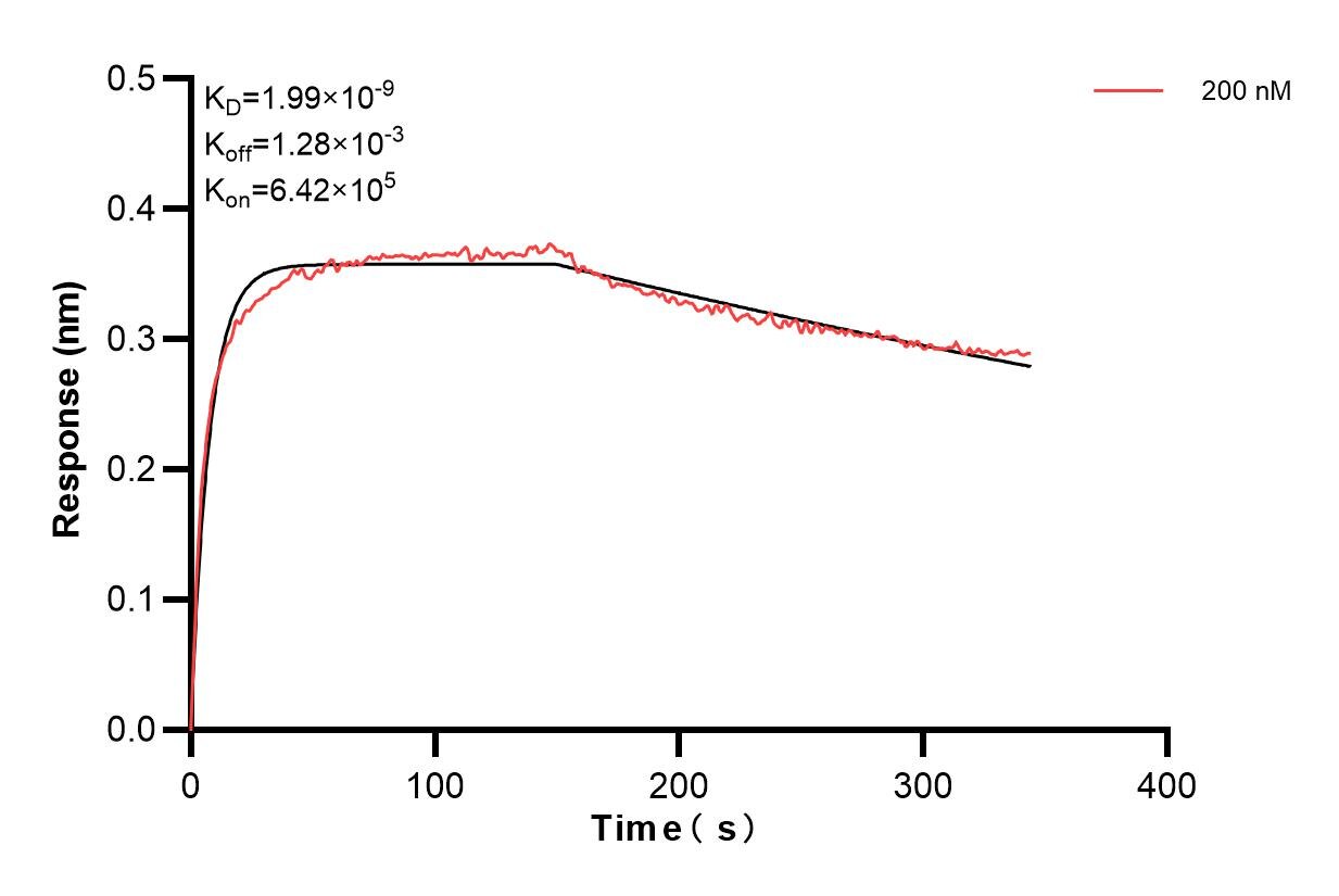 Biolayer interferometry (BLl) kinetic assay of 84187-2-PBS against Human DCHS1 was performed. The affinity constant is 1.99 nM. Affinity and Kinetic Characterization of 84187-2-PBS