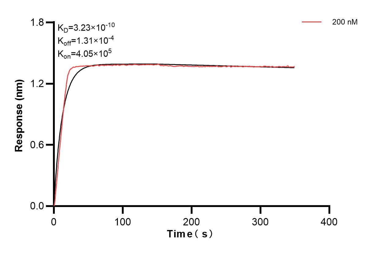 Affinity and Kinetic Characterization of 84191-1-PBS