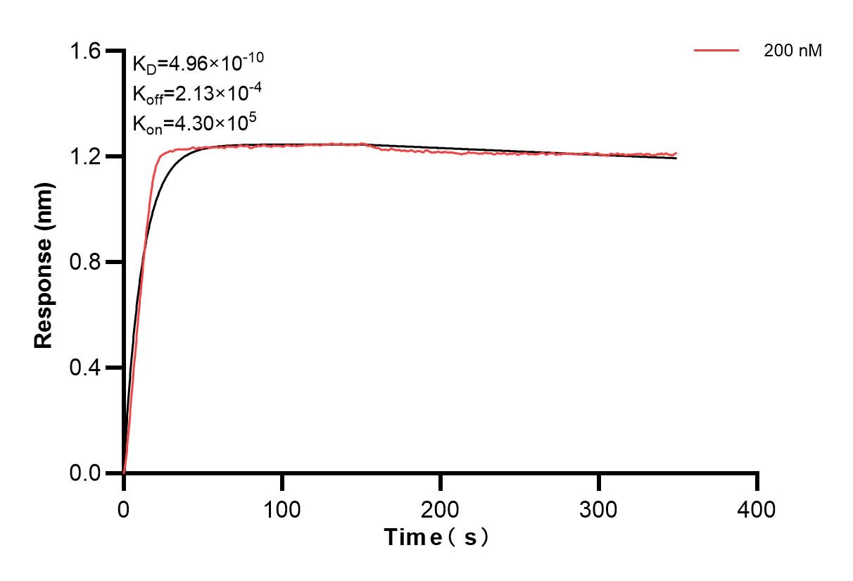 Affinity and Kinetic Characterization of 84191-2-PBS