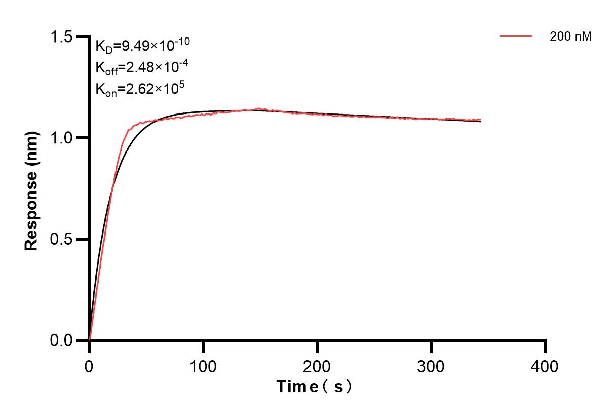 Affinity and Kinetic Characterization of 84191-3-PBS