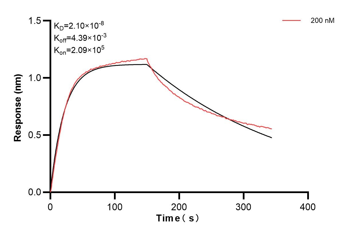 Affinity and Kinetic Characterization of 84191-4-PBS