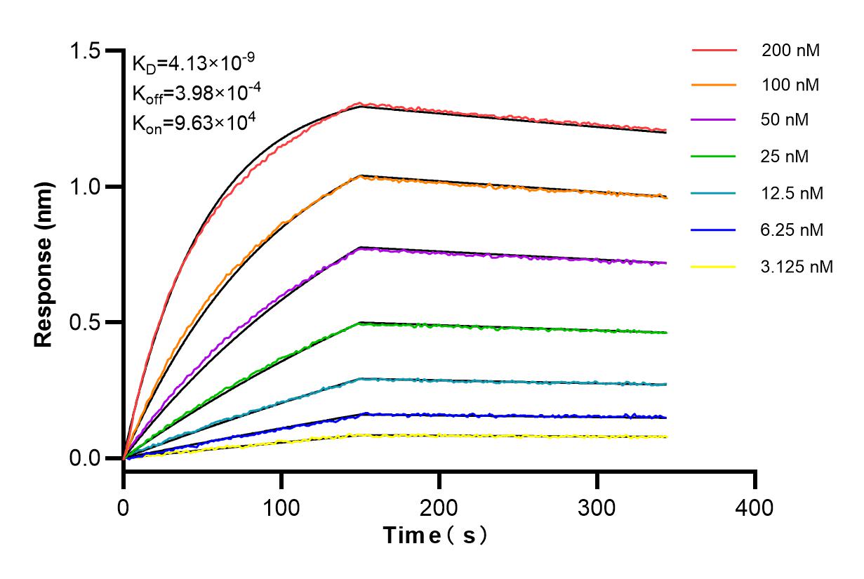 Affinity and Kinetic Characterization of 84205-2-RR
