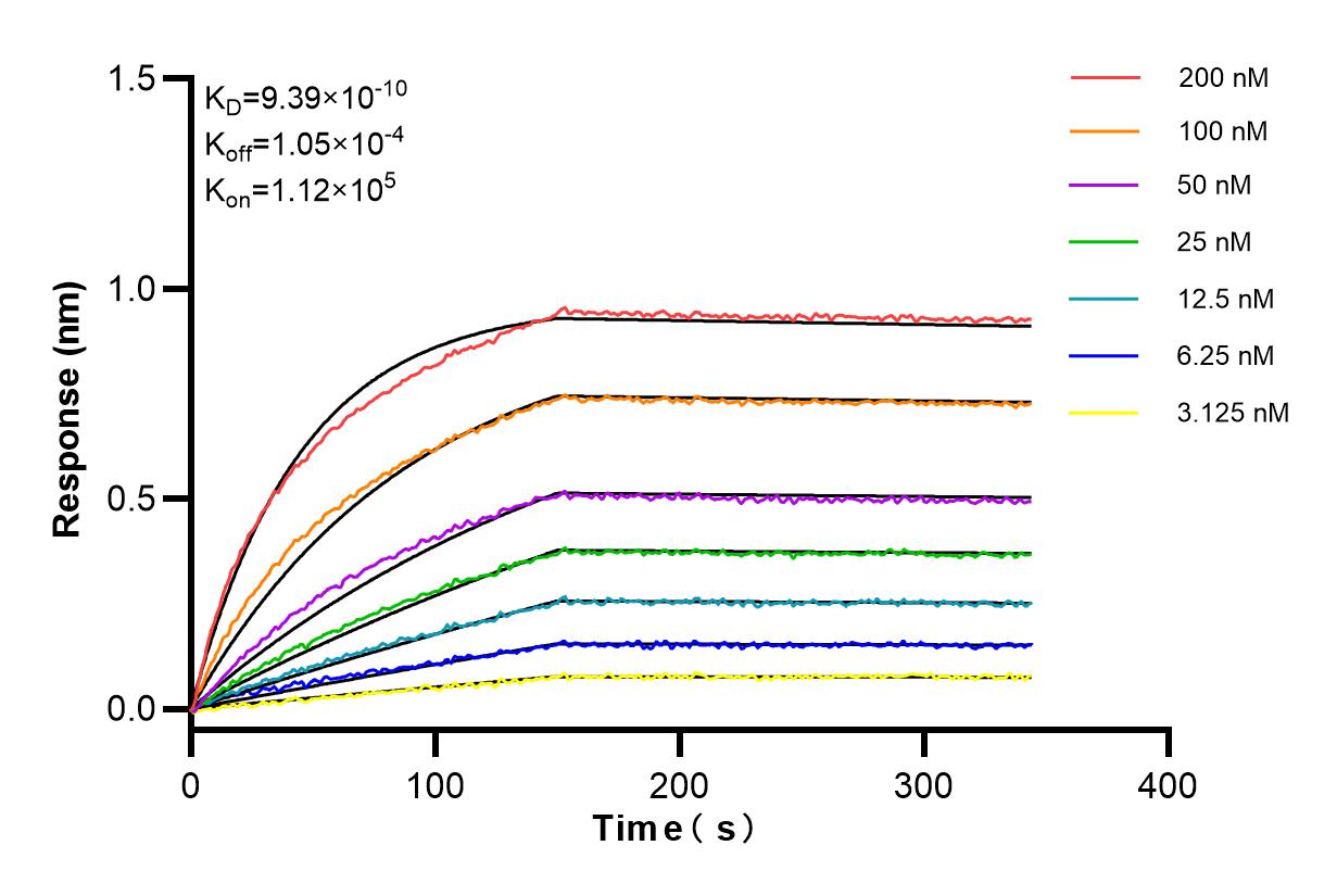 Affinity and Kinetic Characterization of 84225-1-RR