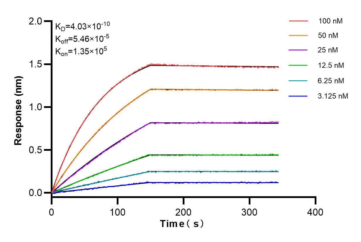 Affinity and Kinetic Characterization of 84226-1-RR
