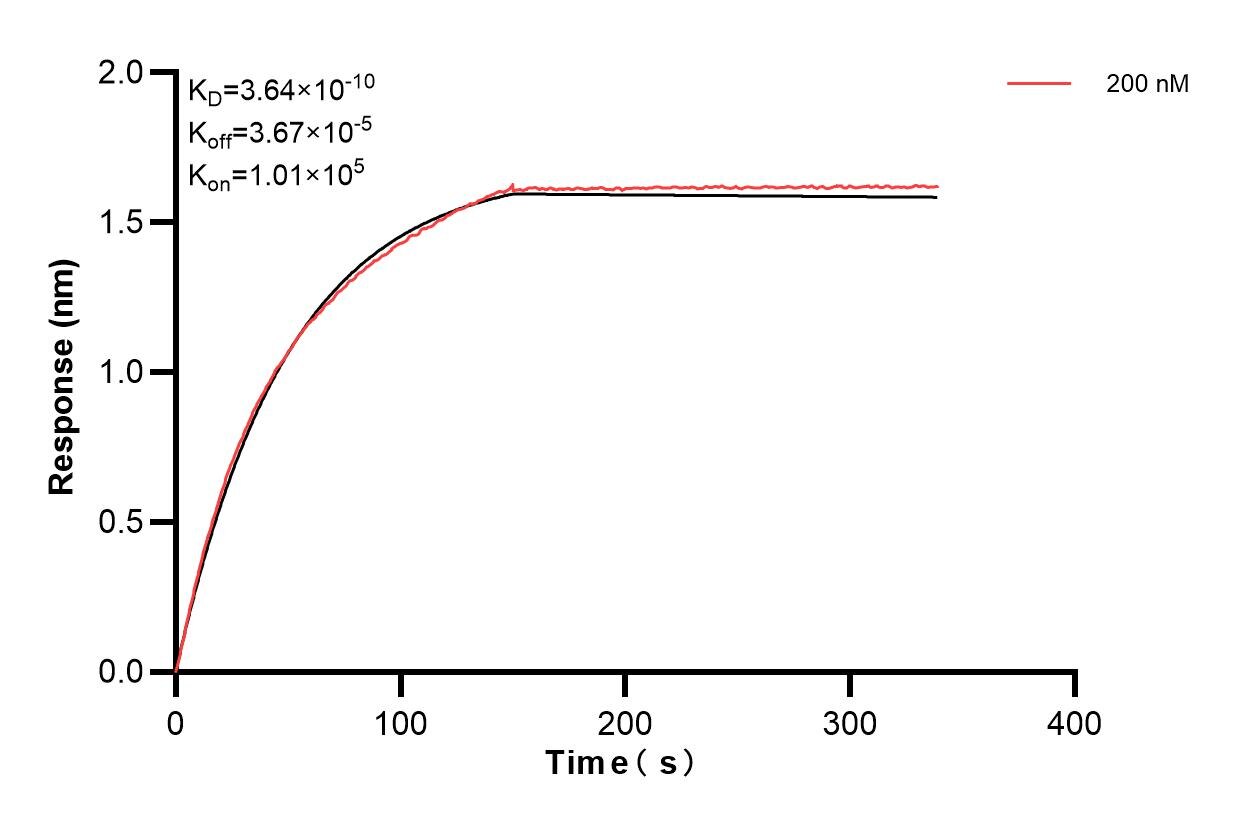 Affinity and Kinetic Characterization of 84230-3-PBS