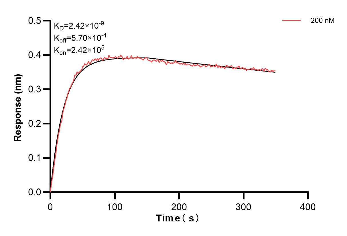 Affinity and Kinetic Characterization of 84232-2-PBS