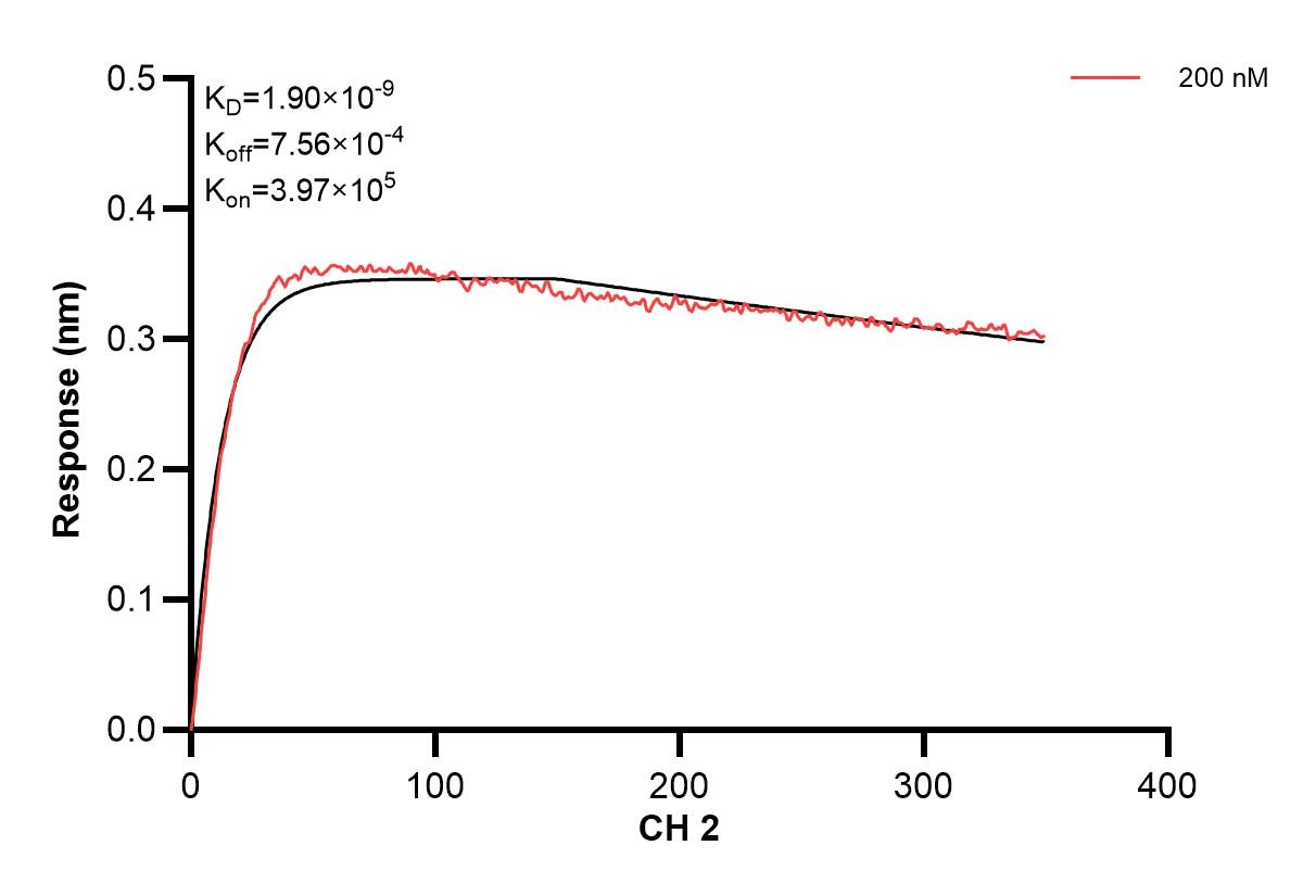 Affinity and Kinetic Characterization of 84232-3-PBS