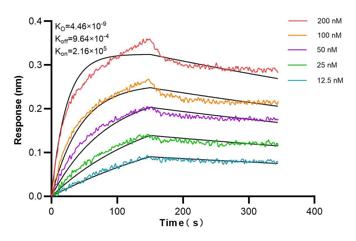 Affinity and Kinetic Characterization of 84232-5-PBS