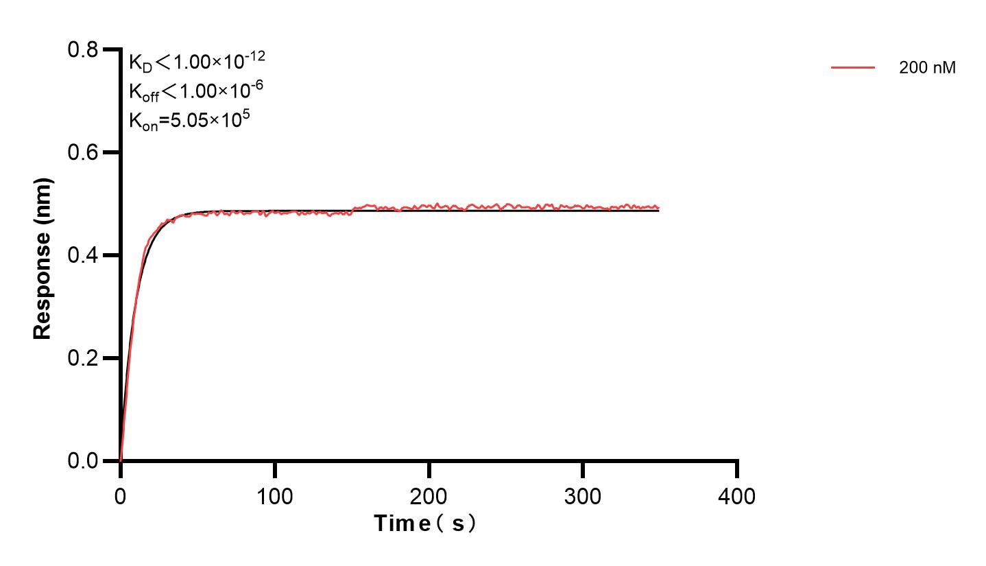 Affinity and Kinetic Characterization of 84246-1-PBS