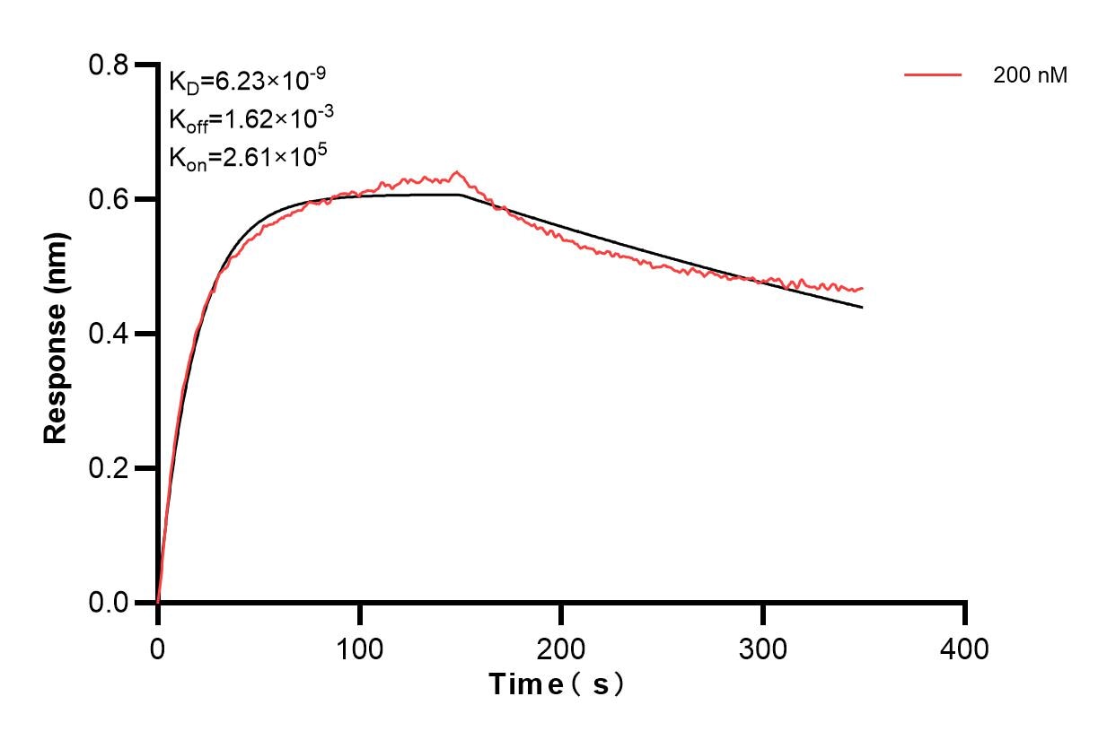 Biolayer interferometry (BLl) kinetic assay of 84247-1-PBS against Human PROS1 was performed. The affinity constant is 6.23 nM. Affinity and Kinetic Characterization of 84247-1-PBS