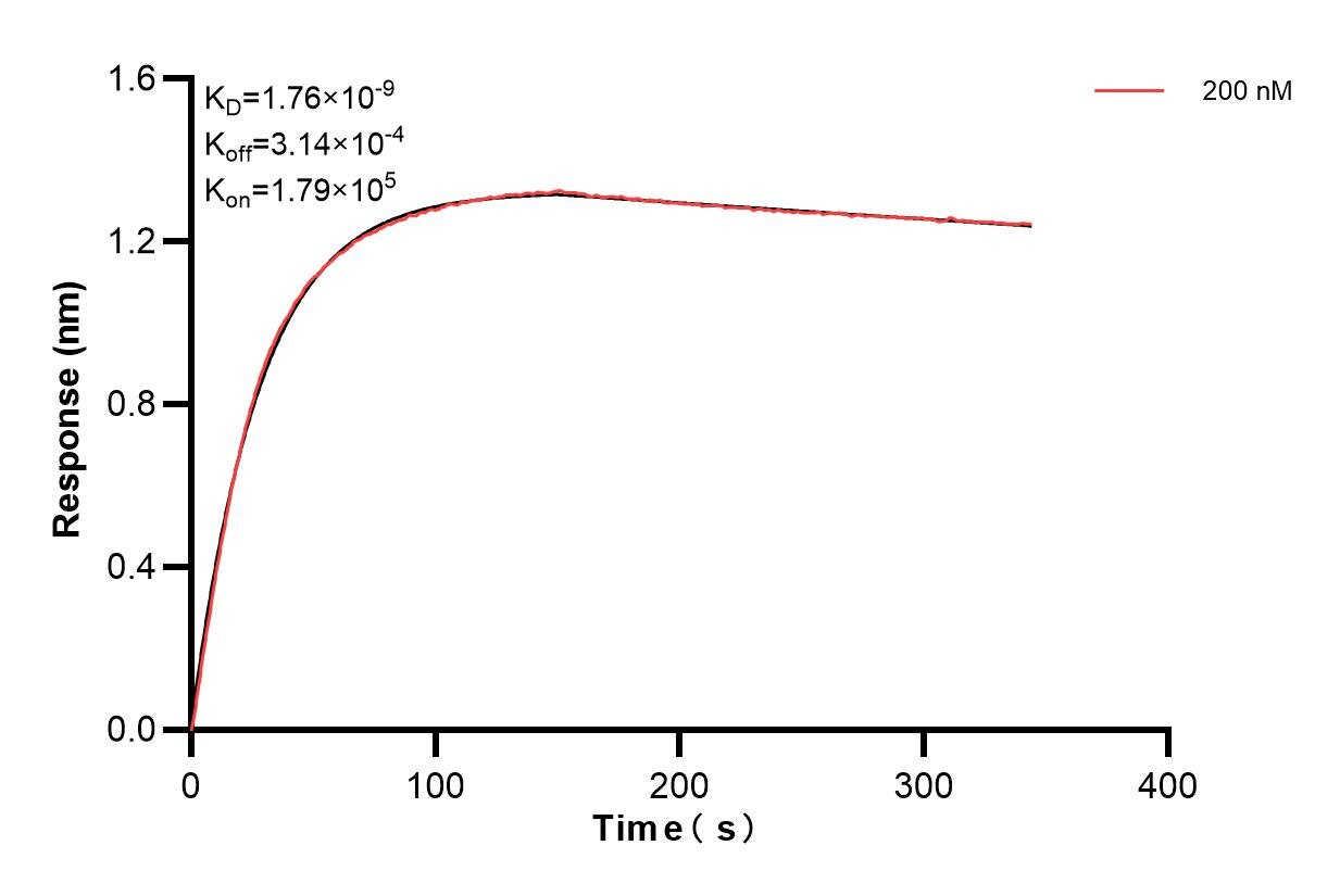 Biolayer interferometry (BLl) kinetic assay of 84251-2-PBS against Human COMMD9 were performed. The affinity constant is 1.76 nM. Affinity of 84251-2-PBS