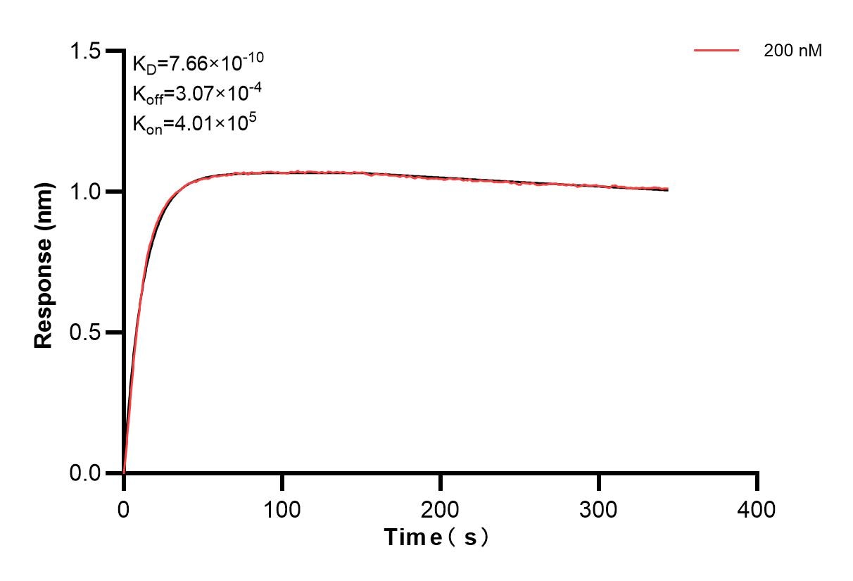Affinity and Kinetic Characterization of 84253-2-PBS Affinity and Kinetic Characterization of 84253-2-PBS
