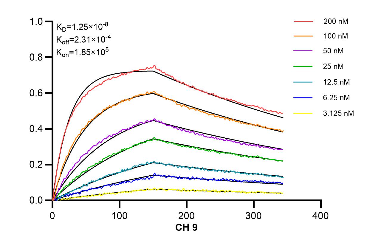 Affinity and Kinetic Characterization of 84256-2-RR