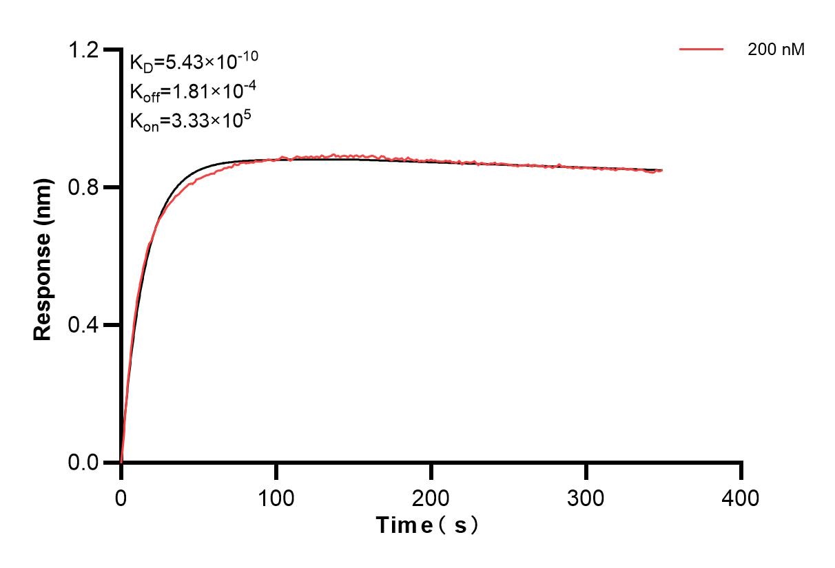 Biolayer interferometry (BLl) kinetic assays of 84259-8-PBS against Human C-Kit were performed. The affinity constant is 0.543 nM. Affinity and Kinetic Characterization of 84259-8-PBS