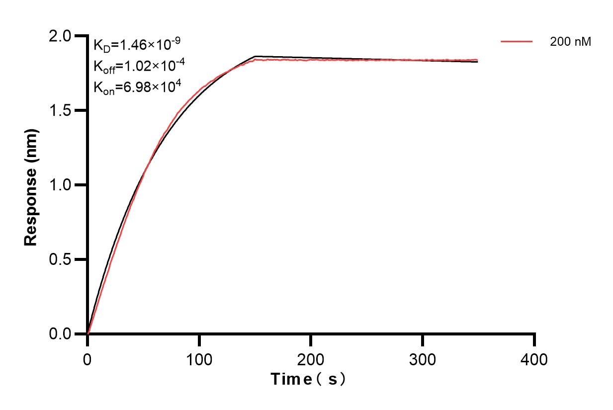 Biolayer interferometry (BLl) kinetic assay of 84278-4-PBS against Human NME3 was performed. The affinity constant is 1.46 nM. Affinity and Kinetic Characterization of 84278-4-PBS