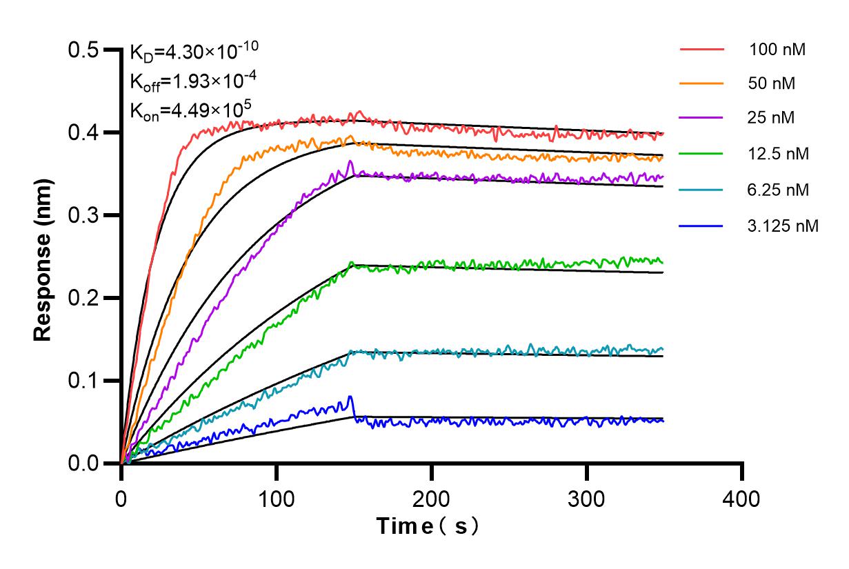 Affinity and Kinetic Characterization of 84280-1-PBS