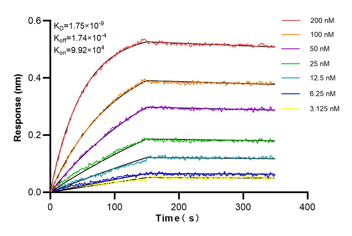 Affinity and Kinetic Characterization of 84280-2-PBS