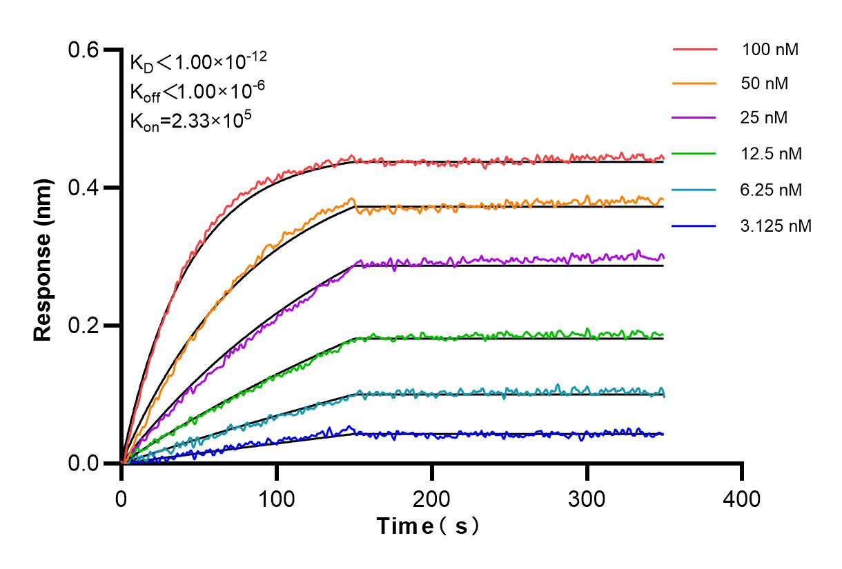 Affinity and Kinetic Characterization of 84280-3-PBS