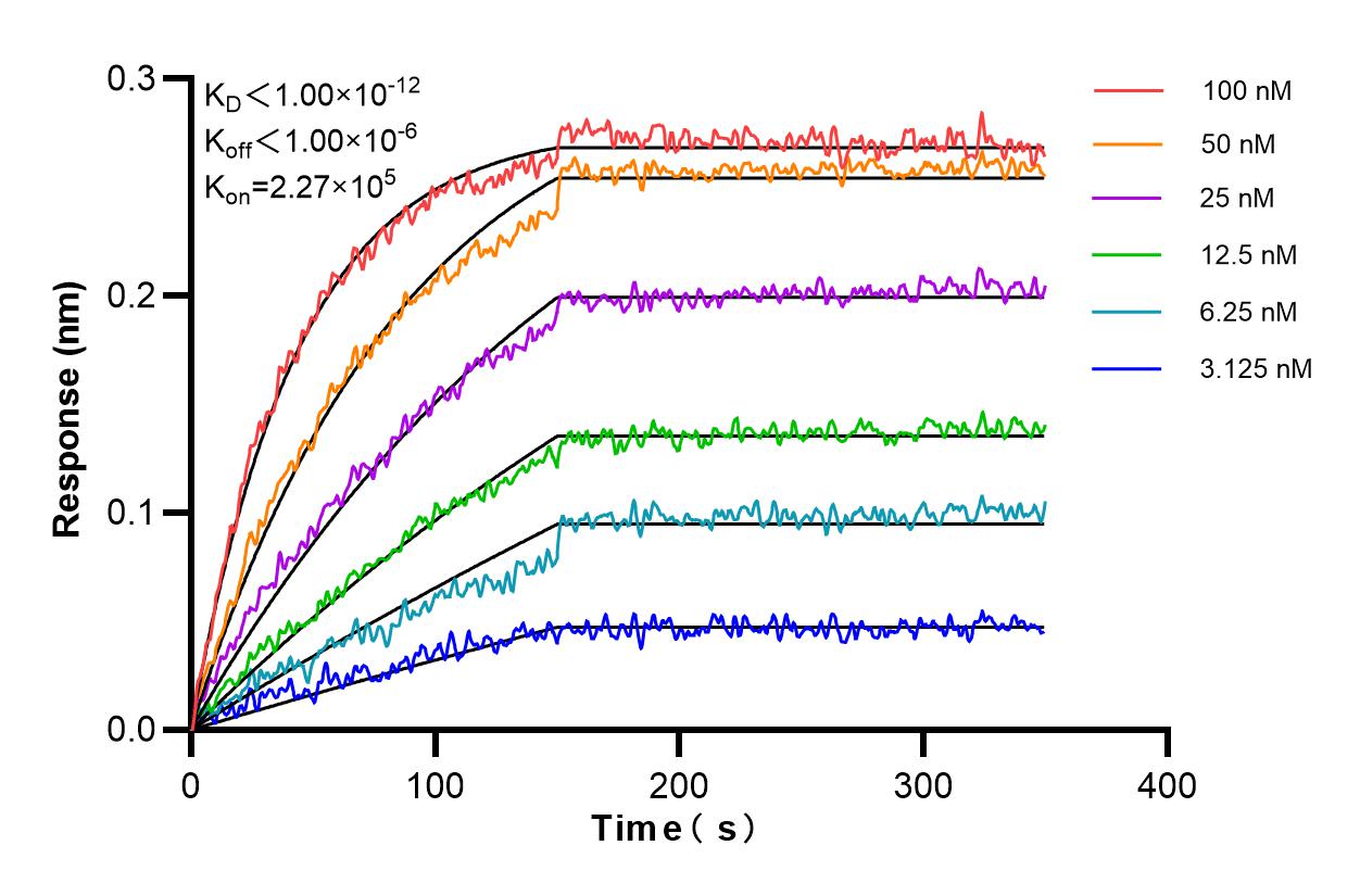 Affinity and Kinetic Characterization of 84280-4-PBS