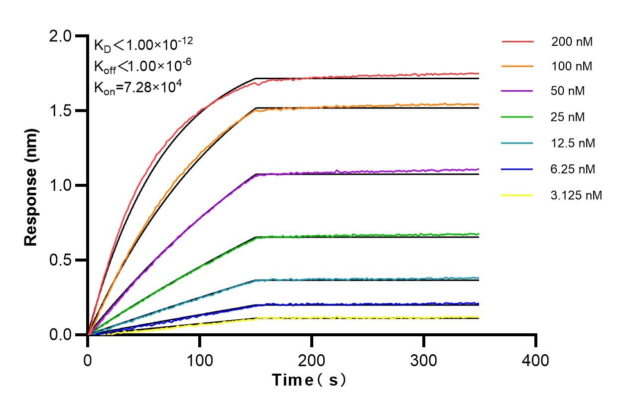 Affinity and Kinetic Characterization of 84289-7-RR