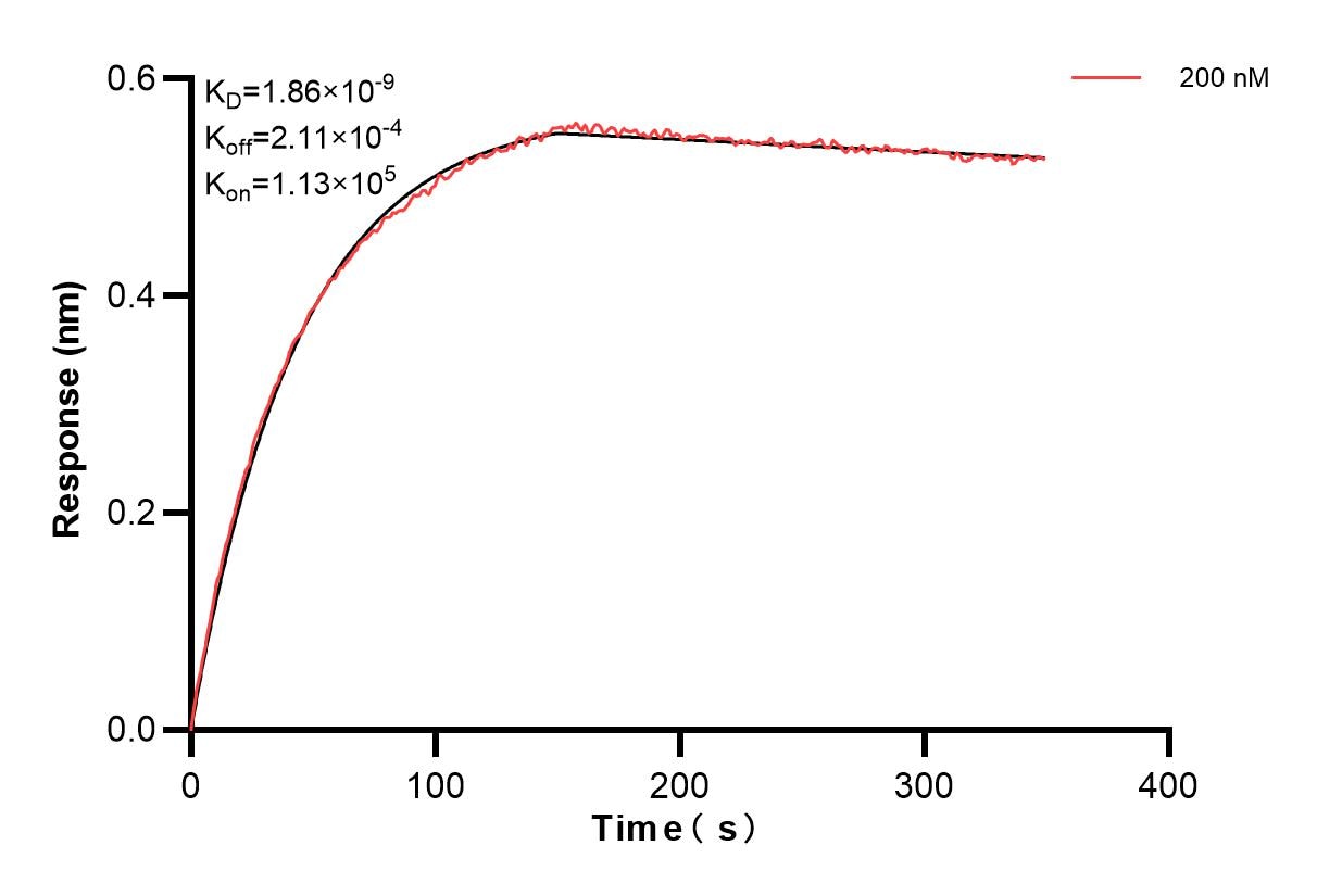 Affinity and Kinetic Characterization of 84292-4-PBS