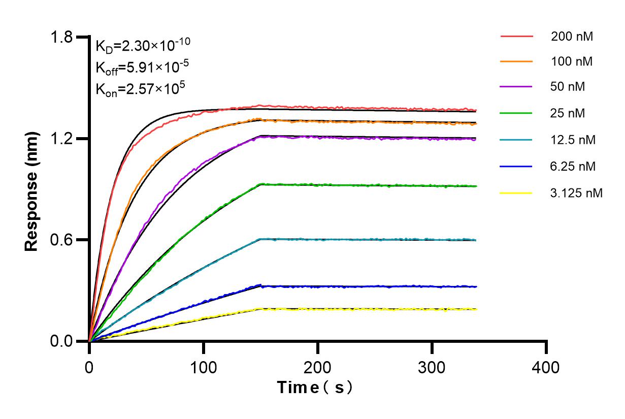 Affinity and Kinetic Characterization of 84332-5-RR