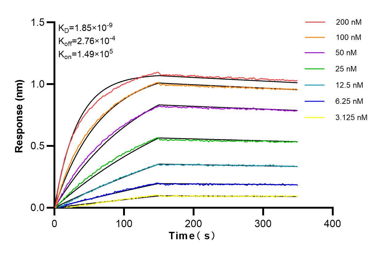 Affinity and Kinetic Characterization of 84338-7-RR