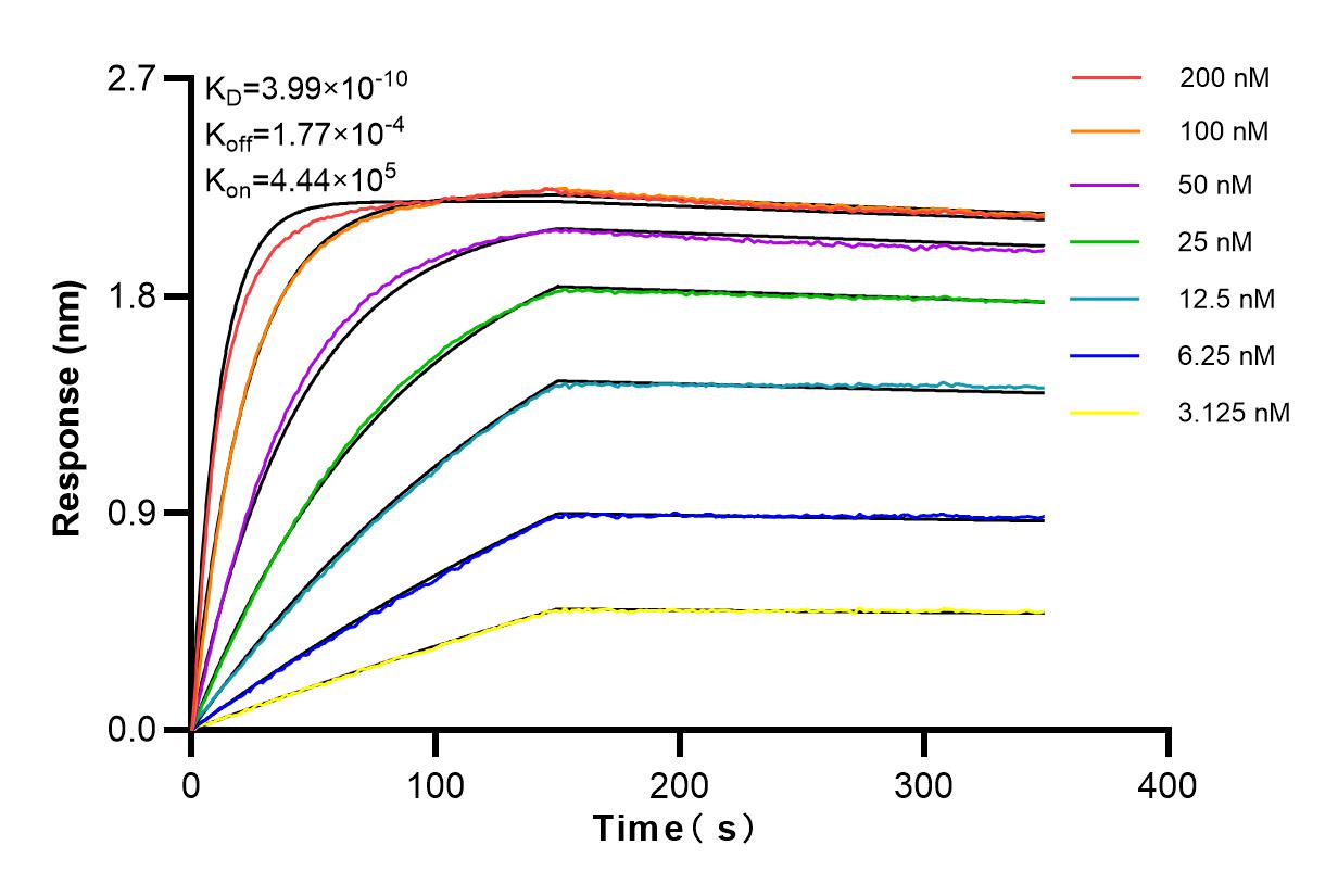 Affinity and Kinetic Characterization of 84346-2-RR