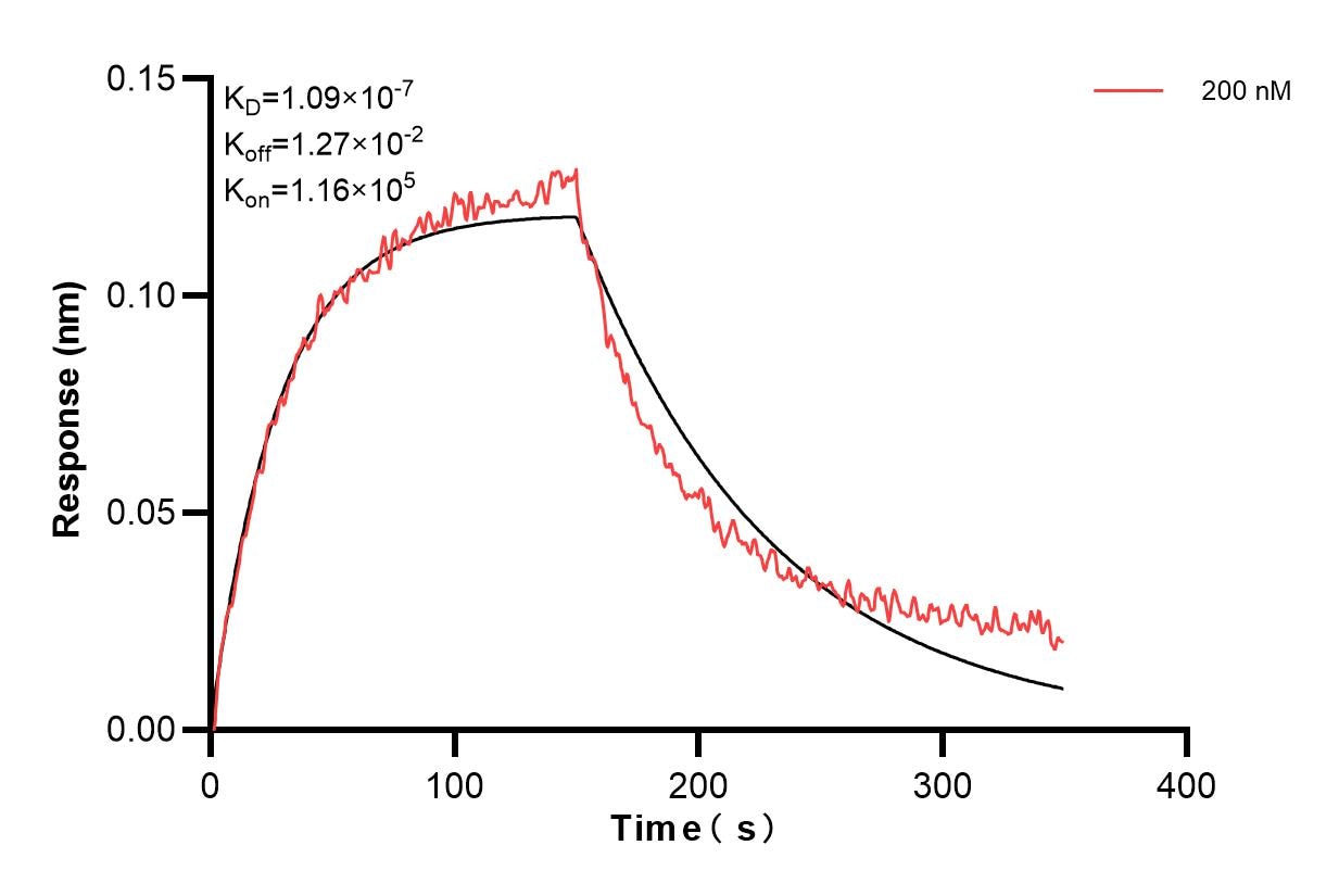Affinity and Kinetic Characterization of 84359-1-PBS