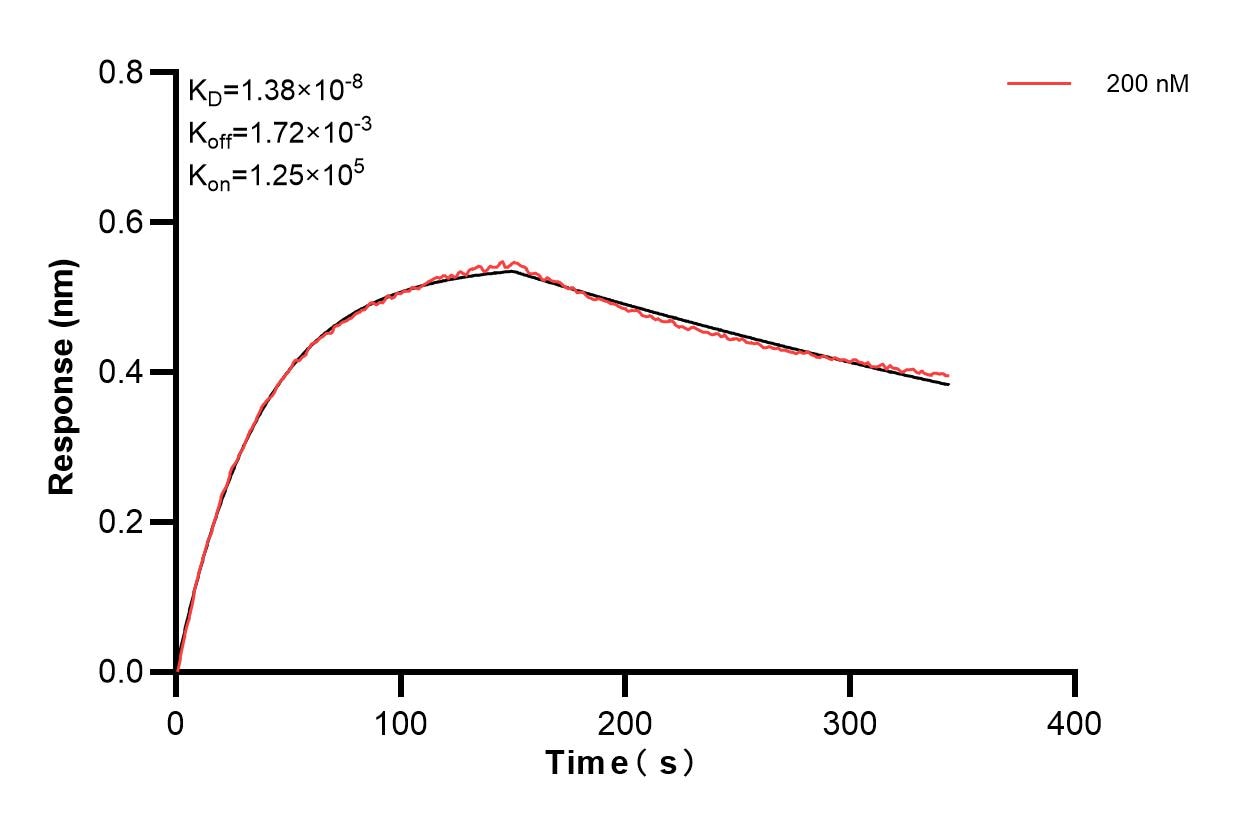 Affinity of 84364-1-PBS
