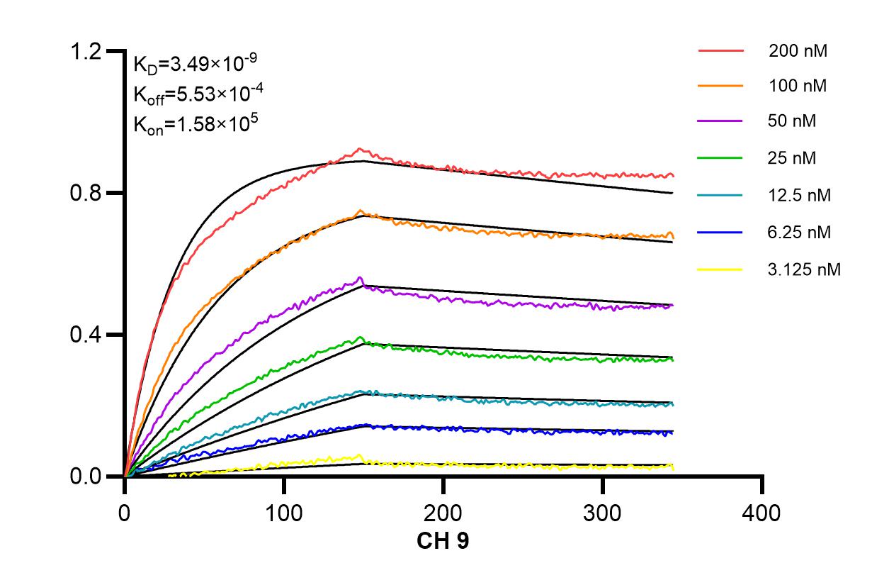 Affinity and Kinetic Characterization of 84366-1-RR