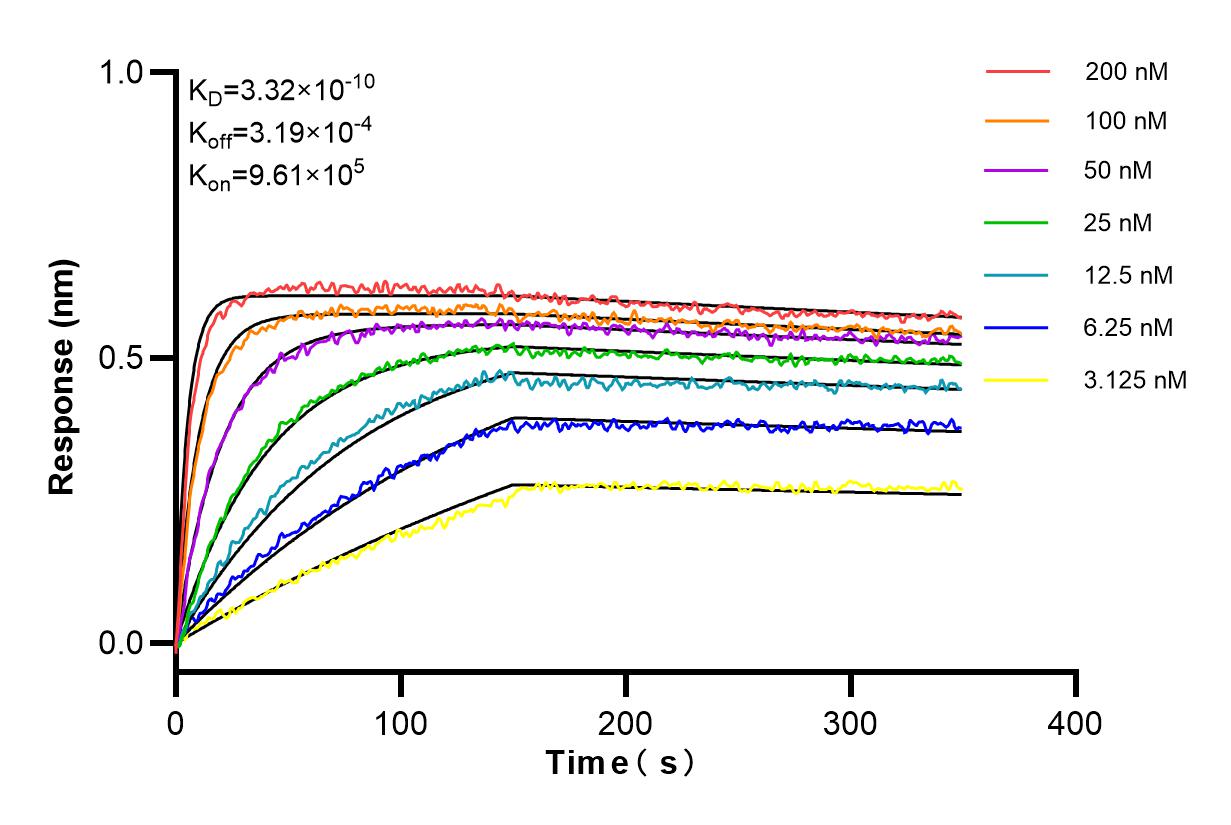 Affinity and Kinetic Characterization of 84369-5-RR