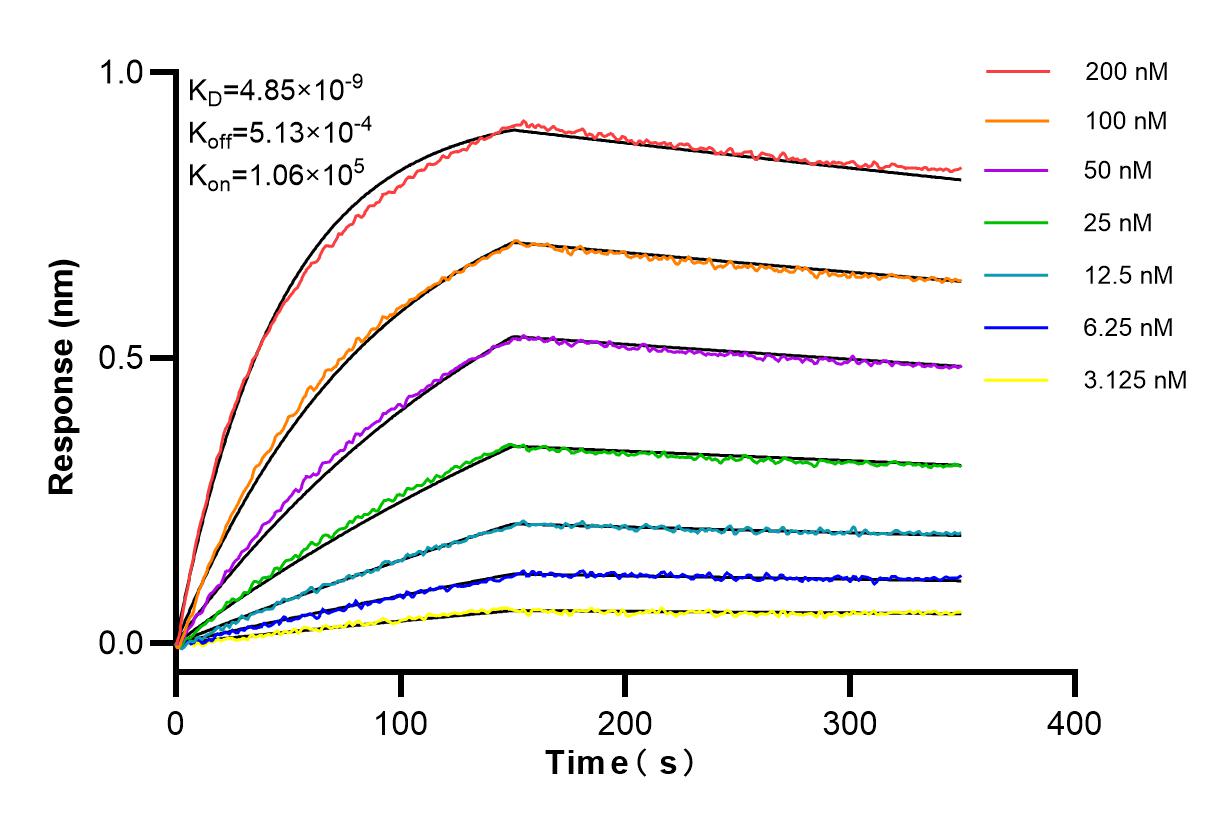 Affinity and Kinetic Characterization of 84371-2-RR