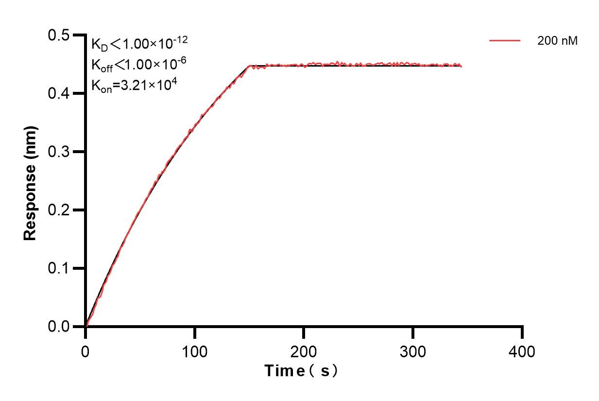 Affinity and Kinetic Characterization of 84374-5-PBS