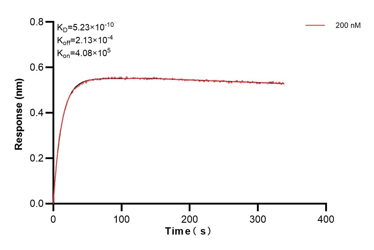 Affinity and Kinetic Characterization of 84387-3-PBS